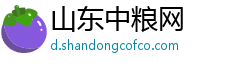 山东中粮网